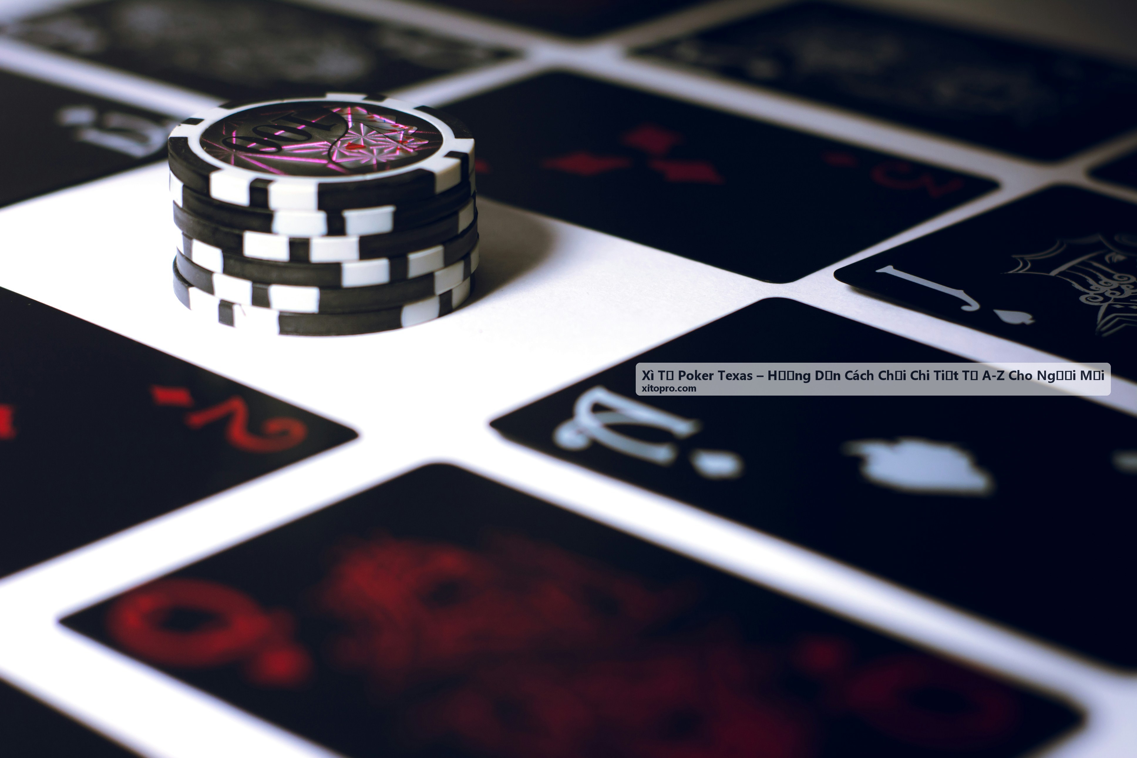 Luật chơi Xì Tố Poker Texas cơ bản